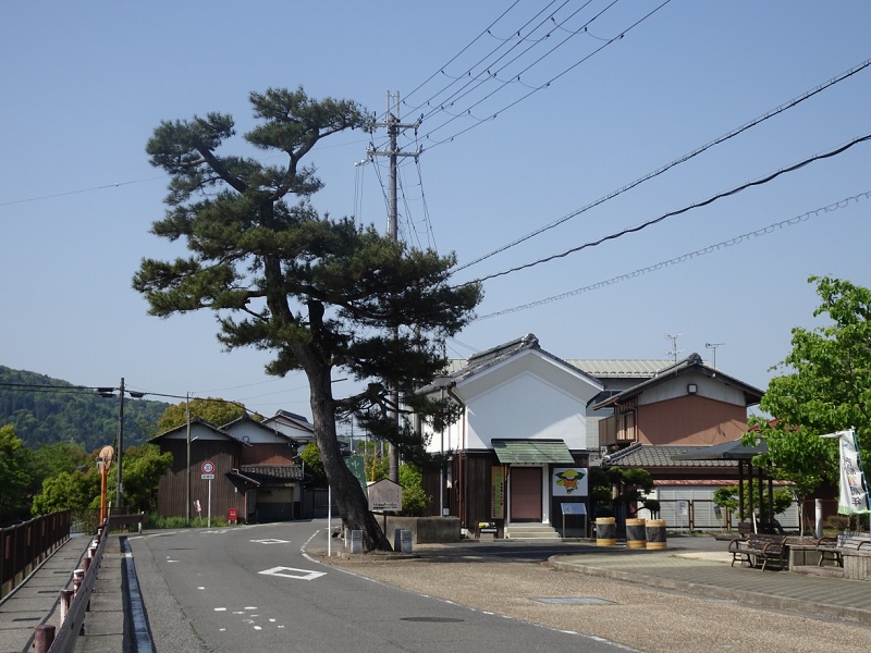 TOO001