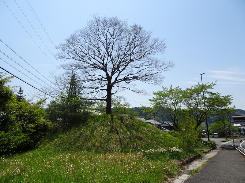 TOO001