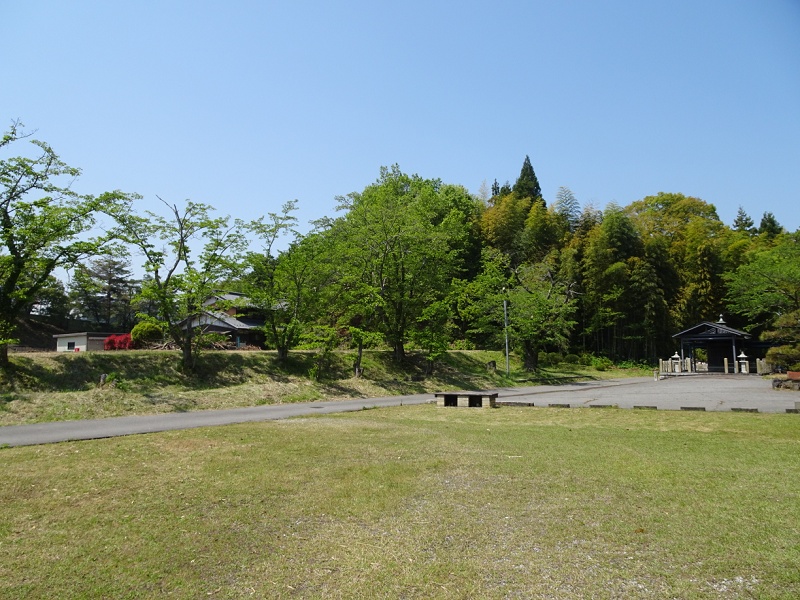 TOO001