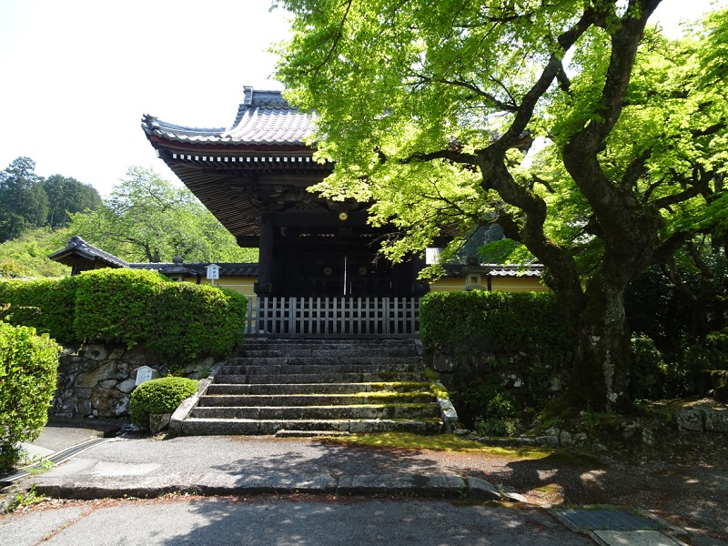 TOO001