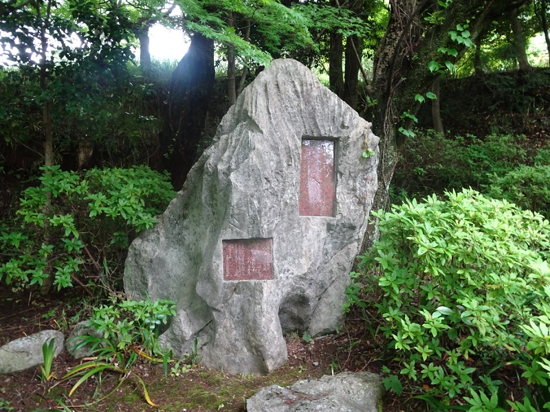 TOO001