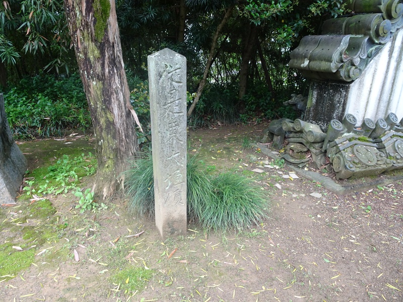 TOO001